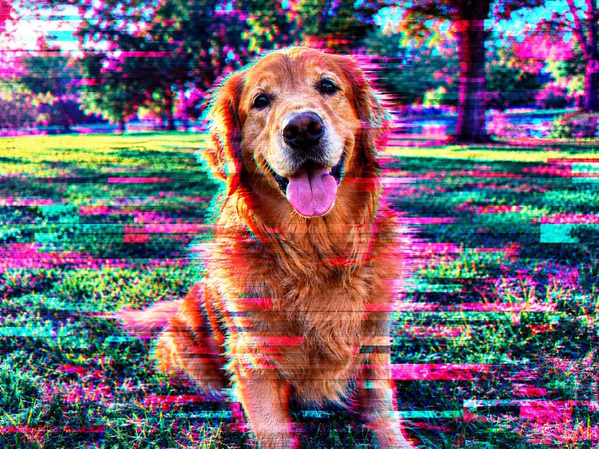 Glitch Art example